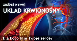 Serce i układ krwionośny